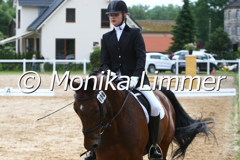 006M3821_Dressur L.JPG